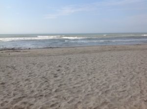 img_0071